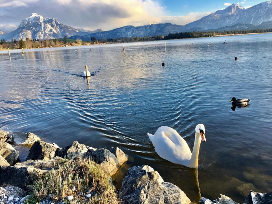 Hotel Fischer Am See Füssen Esterno foto